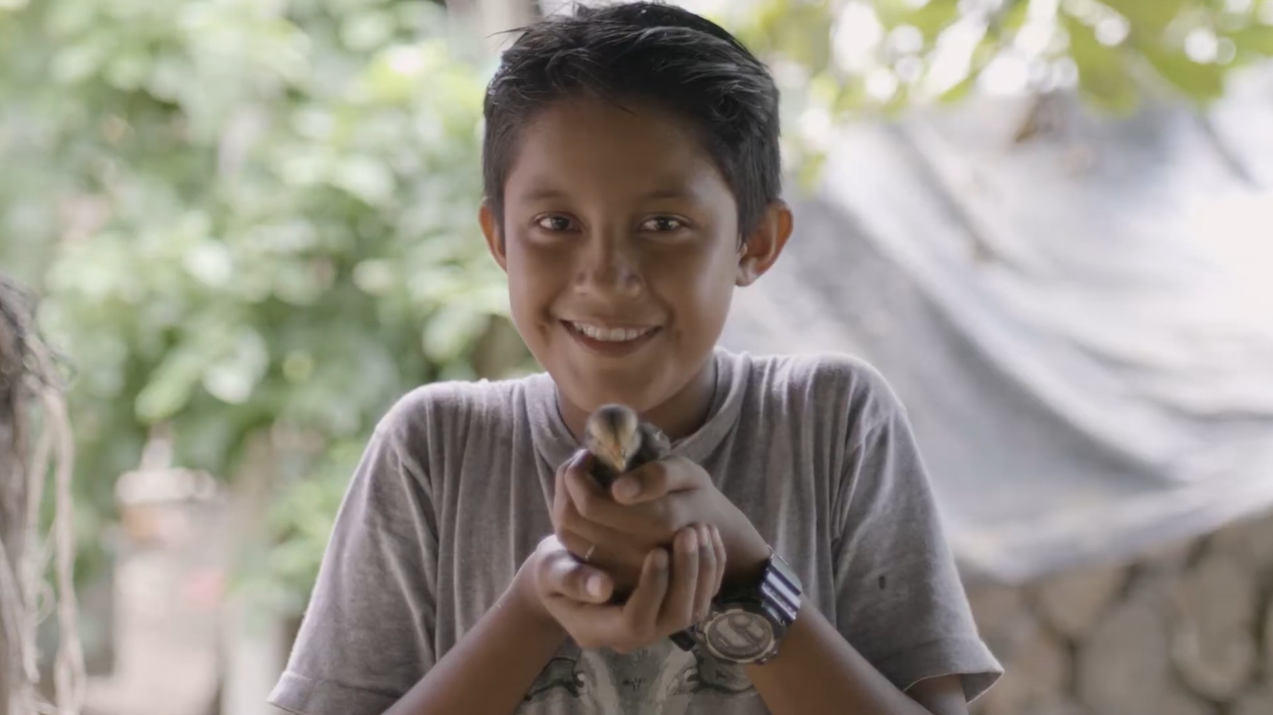 VES One Tree Planted 2023