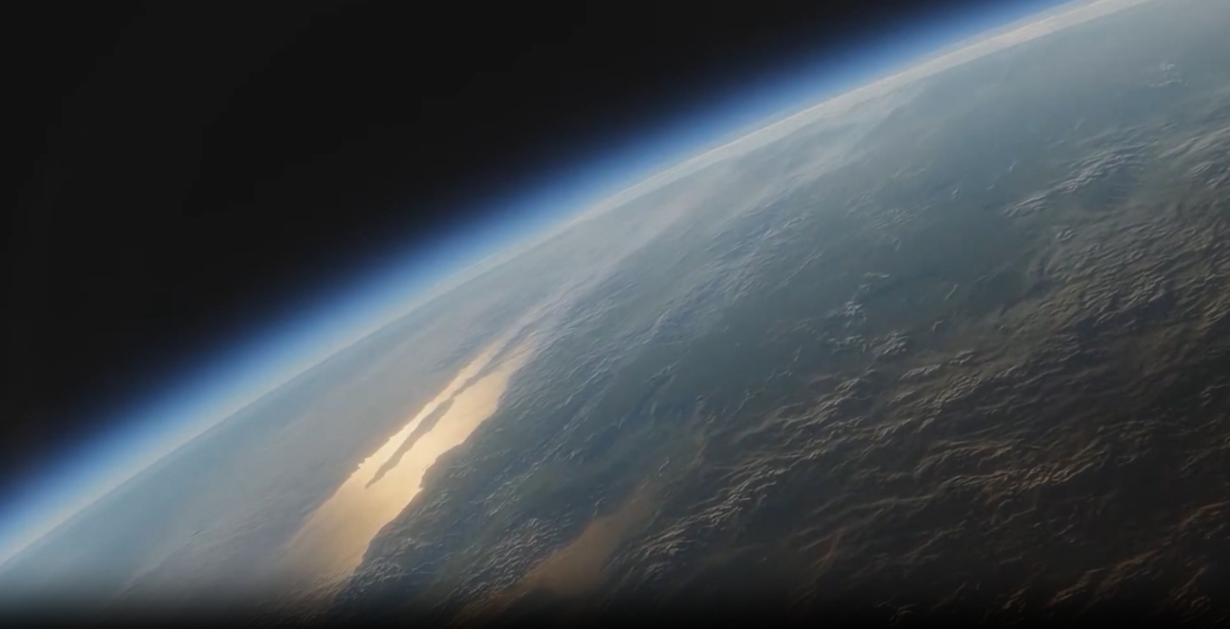 VES One Tree Planted 2024 Thumb